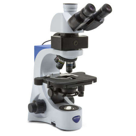 Image of Optika B-383LD