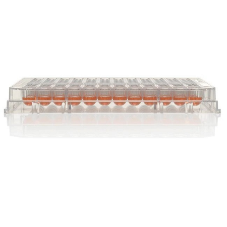 Image of  Nunc MicroWell Plate