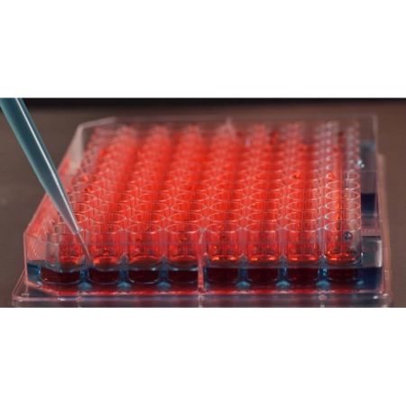 Image of  Nunc Edge Microplate