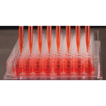 Image of  Nunc Edge Microplate