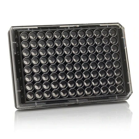 Image of  Nunc MicroWell Plate