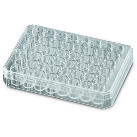 Image of  Nunc MicroWell Plate
