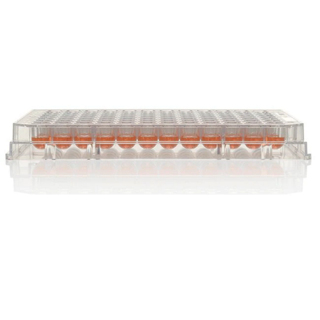 Image of  Nunc MicroWell Plate