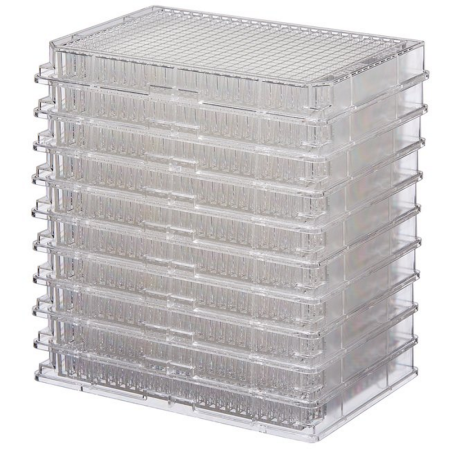 Image of  Nunc MicroWell Plate